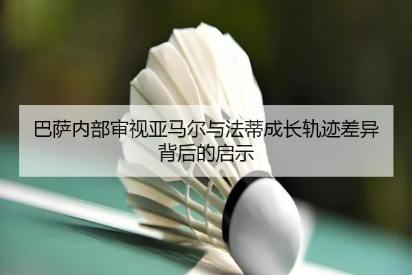 ba-sa-nei-bu-shen-shi-ya-ma-er-yu-fa-di-cheng-zhang-gui-ji-cha-yi-bei-hou-de-qi-shi-3-686.jpg
